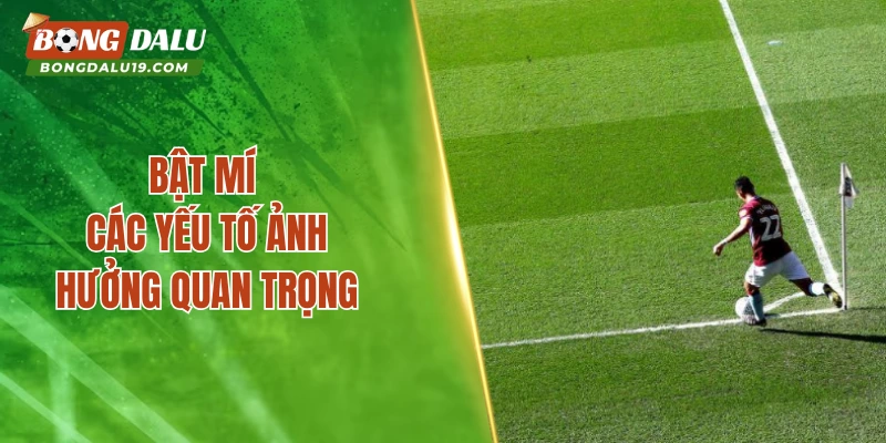 Bật mí các yếu tố ảnh hưởng quan trọng