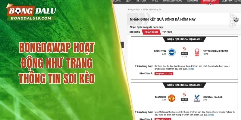 Bongdawap hoạt động như trang thông tin soi kèo