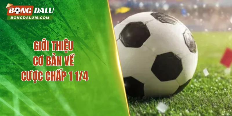 Giới thiệu cơ bản về cược chấp 1 1/4