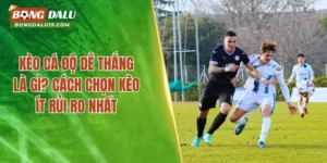 Kèo Cá Độ Dễ Thắng – Hướng Dẫn Cách Mang Lại Nhiều Tiền Nhất