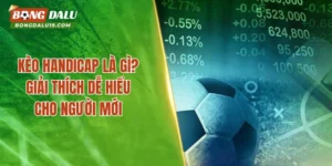 Kèo Handicap Là Gì? Bongdalu Đánh Giá Mới 2026