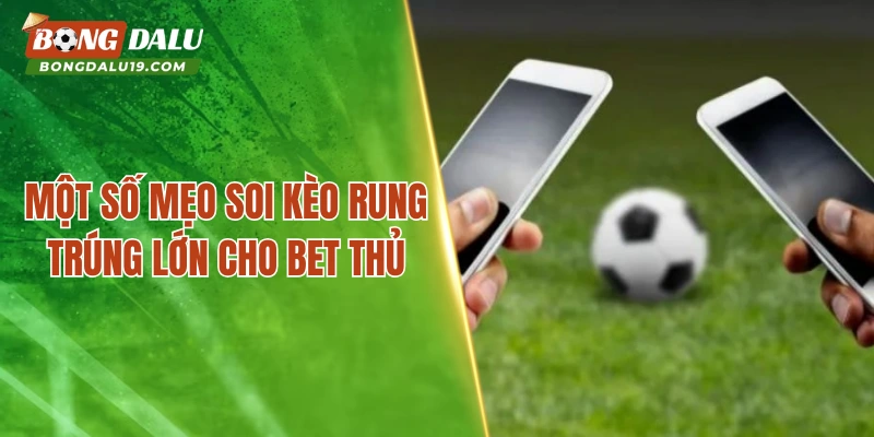 Một số mẹo soi kèo rung trúng lớn cho bet thủ