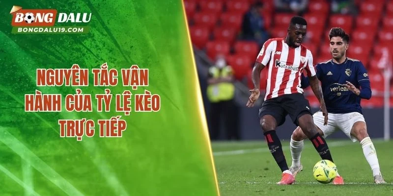 Nguyên tắc vận hành của tỷ lệ kèo trực tiếp