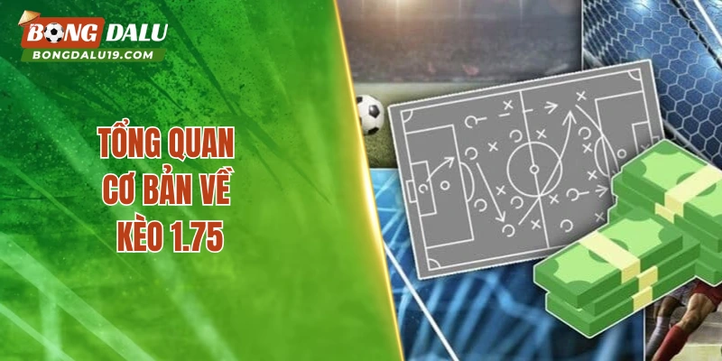 Tổng quan cơ bản về kèo 1.75