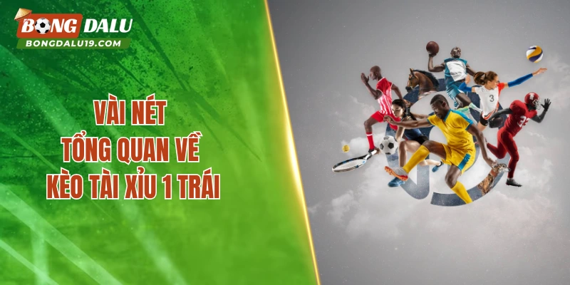 Vài nét tổng quan về kèo tài xỉu 1 trái